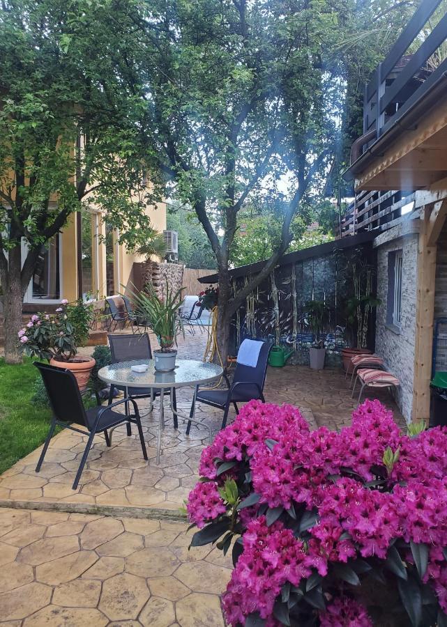Thermae D'Olimpia & Spa - Adults Only 14 Plus Băile Herculane エクステリア 写真