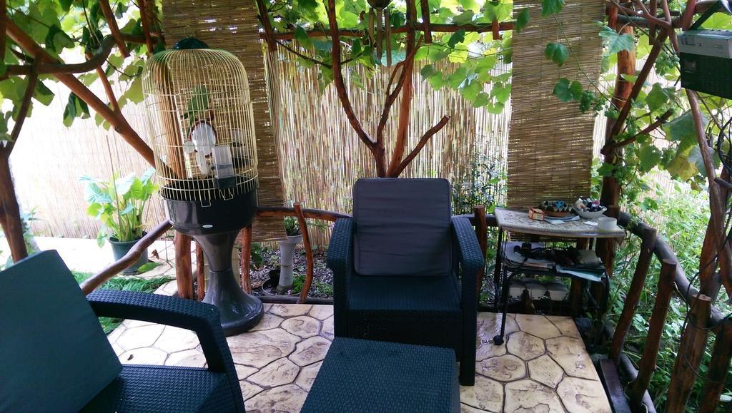 Thermae D'Olimpia & Spa - Adults Only 14 Plus Băile Herculane エクステリア 写真