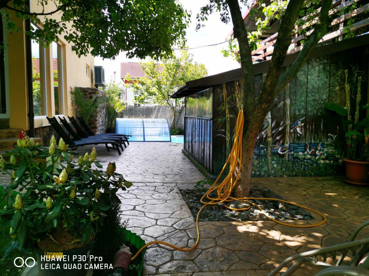Thermae D'Olimpia & Spa - Adults Only 14 Plus Băile Herculane エクステリア 写真