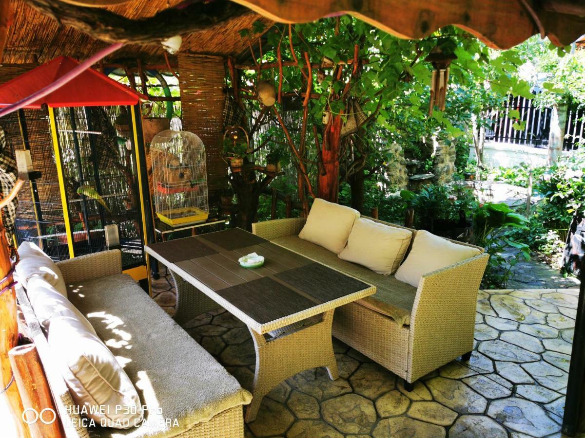 Thermae D'Olimpia & Spa - Adults Only 14 Plus Băile Herculane エクステリア 写真